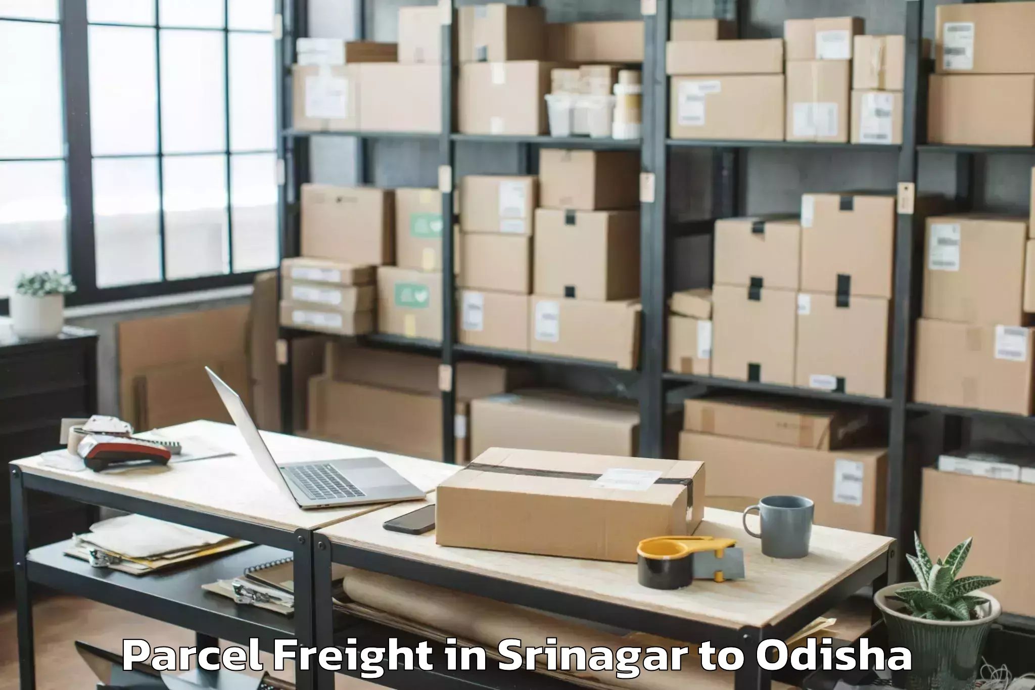 Easy Srinagar to Bhanjanagar Parcel Freight Booking